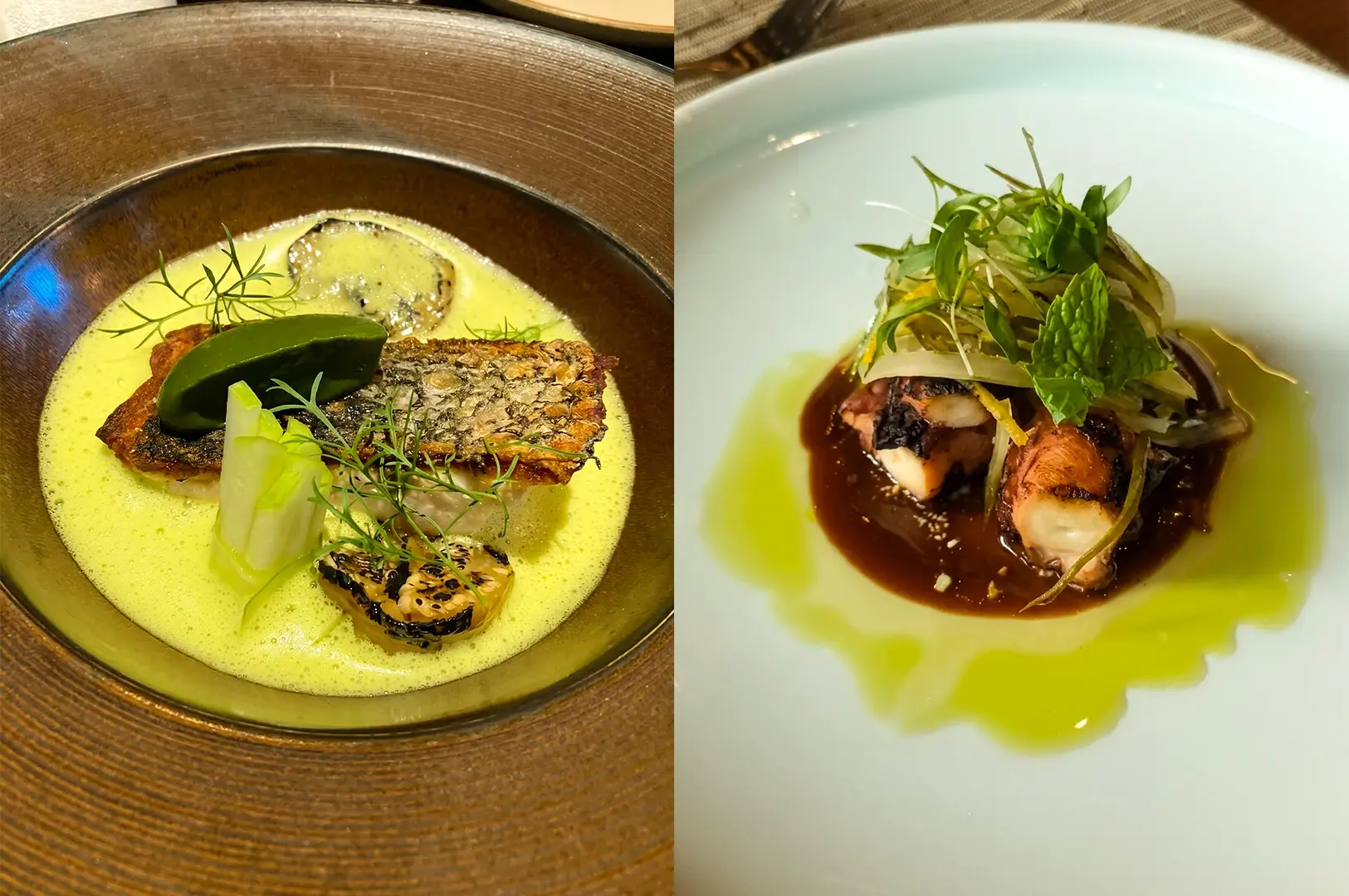 Left: Close-up, three-quarter angle of a plated seafood dish in a brown ceramic bowl featuring a crispy-skinned fish fillet resting in a vibrant green curry-style sauce, garnished with fresh herbs, a wedge of green vegetable, a thin slice of mushroom, and small charred elements, with soft ambient restaurant lighting highlighting glossy textures and layered plating; Right: Close-up, top-down angle of a white plate presenting char-grilled octopus pieces arranged over a dark glossy sauce, topped with thinly sliced vegetables and fresh herbs, surrounded by a light pool of oil, with clean plating, contrasting colors, and natural lighting emphasizing the charred surface and delicate garnish details.